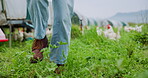 Legs, nature and chicken with person on farm for animal growth, inspection or agriculture. Poultry livestock, free range and shoes of farmer walking in countryside for organic egg production