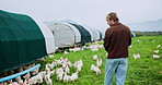 Farming, poultry and man on field with feeding, agriculture and livestock in sustainability project. Organic, birds and poultryman in countryside with chickens, monitor environment or health of flock