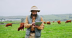 Farming, cows and man with tablet, countryside and walking with sustainability, internet or inspection. Outdoor, farmer or person with tech, meadow landscape or app for checklist, livestock or cattle