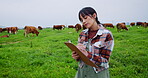 Clipboard, cow and writing with woman on farm as herd record manager, agriculture and tracking animal breed. Livestock production, milk yield report and cattle checklist with person in countryside
