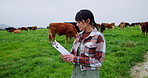 Clipboard, farming or woman with agriculture, cows or livestock with inspection. Outdoor, farmer or mature person with cattle, grazing or countryside with sustainable business, checklist or documents