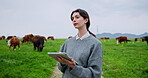Tablet, cow and thinking with woman on farm as herd record manager, agriculture and tracking animal breed. Livestock production, online milk yield report and reflection with person in countryside