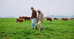 Cow, farm and team with people in nature for herd manager, breeding specialist and agriculture. Cattle reproduction expert, sustainability and animal stock review with farmers on countryside field