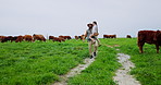 Girl, countryside and father with agriculture, cows and bonding together with grass meadows. Outdoor, family and parent with daughter, dad and sustainability with environment, farming and explain