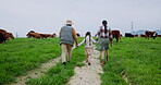 Cow, holding hands and back of family on farm for cattle agriculture, love and support. Sustainability, walking and bonding with parents and child on countryside field for growth and environment
