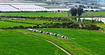 Aerial view, hen house and landscape of farm for agriculture, production and livestock industry. Drone, free range poultry and organic animals with chicken coop at natural pasture with grass outdoor