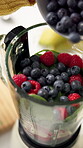 Health, berry and blender with hands in kitchen for detox, nutrition and vitamins. Fruits, fiber and protein shake with above of person and smoothie in home for wellness drink, digestion and minerals