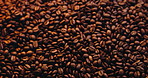 Coffee beans, process and roast with closeup for production, texture and flavor with manufacturing at plant. Grain, organic caffeine and supply chain for hospitality industry, catering and aroma