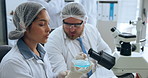 Scientist, team and discussion in lab with petri dish for research, chemistry or development. Science, collaboration and people with chemical for medical study, microbiology analysis and experiment