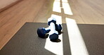 Yoga, equipment and dumbbells with mat in studio for fitness, workout and morning routine. Empty room, sunlight and floor with weights for exercise, physical activity or pilates in wellness center