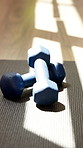 Yoga mat, empty and dumbbells in studio on floor for workout routine, exercise and fitness class. Background, health club and gym equipment and weights for wellness, pilates and strength training