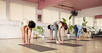 Health, yoga and women in class for wellness workout, exercise and practice for mobility. Gym, fitness club and people with instructor in pilates lesson for active hobby, balance and wellbeing