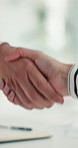 Interview, success and handshake with HR, meeting and onboarding process with employee or agreement. Office, achievement and shaking hands with candidate, people and job opportunity or recruitment