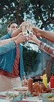 Group, people and toast with champagne outdoor for lunch, celebration and thanksgiving. Friends, cookout and cheers alcohol with food for reunion event, social gathering and bonding together at house