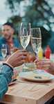 Hands, toast and celebration with champagne for friends, outdoor and lunch for reunion. People, group and cheers with alcohol for social gathering, wine and bonding together with food at house