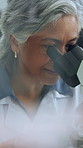 Mature woman, microscope and scientist in laboratory for evidence, study and development. Science, microbiology equipment and person with analysis for medical biotechnology, forensic research or test