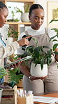 Tablet, scan and florist or black women in office for plant supplier checklist, inventory manager and barcode. Botany growth, gardening startup and bookkeeping with people in store for ecology