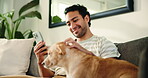 Phone, smile and man on sofa with puppy, online browse and pet bonding on weekend break. Comfort, happy and male person in house with tech, dog best friend and social media chat during Sunday rest.