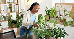 Water, plants and sustainability with black woman in store for small business, eco friendly and gardening. Growth, organic and entrepreneur with person in florist shop for inventory and startup