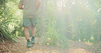 Outdoor, fitness and back of man running in forest in morning for workout, training or wellness. Runner, nature and male athlete with cardio exercise or jog in woods for active, sports or challenge.