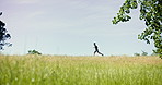 Athlete, man and running with exercise in nature for fitness, cardio training and morning routine. Space, runner and jog with male person for endurance workout, fresh air and building stamina outdoor