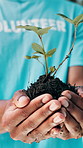 Hands, volunteer and soil with seedling for eco friendly policy, climate change and clean environment. Person, accountability and outdoor for call to action with plant, sustainability and earth day