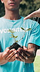 Volunteer, water and hands of people with plant for earth day, environmental charity and conservation. Teamwork, splash and group with sprout for growth, sustainability and eco friendly project