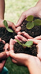 Outdoor, sprout and hands of people with plant for earth day, environmental charity and conservation. Teamwork, volunteer and palms with soil for growth, sustainability and eco friendly project