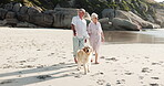 Old couple, holding hands and walk with dog, beach or people on vacation with pet, happy and romance. Outdoor, elderly man and senior woman with domestic animal on holiday, bonding and talk on break