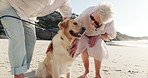 Old couple, bonding and hands with dog, beach and people with pet in nature, romance and retirement. Travel, elderly man and senior woman with domestic animal on holiday, outdoor or happy on break