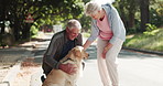 Outdoor, old couple and dog on walking break together, affection and companion for retirement health. Road, animal care and happy senior people with pet for exercise, wellness and loyalty in bonding