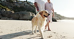 Old couple, holding hands and travel with dog, beach or people on vacation with pet, happy and walk. Outdoor, elderly man and senior woman with domestic animal on holiday, bonding and laugh on break