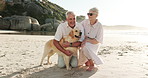 Holiday, dog and senior couple at beach to laugh, hug companion and smile. Relax, man and woman with pet by sea for embrace, funny and pointing on summer vacation with golden retriever in retirement