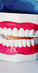 Dentist, hand and teeth model with tool for cleaning, oral hygiene and remove tartar. Person, mouth mold and curette to check for tooth decay, gum disease and cavity treatment with periodontal care