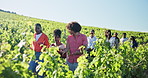 People outdoor, walk or discussion in vineyard for winery education, sustainable farm or growth. Countryside, tour guide or group in nature with grape vines for farming conversation, info or learning