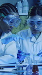 Science, pipette or women in lab with petri dish, analysis or examination for biochemistry study. Collaboration, uv light or scientists in clinic with samples, test or inspection in rna development