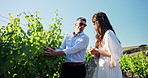 Vineyard, talking and people with grapes on farm for tourism, sustainable farming and agriculture. Countryside, tour guide and man with woman in nature for conversation, chat and wine production