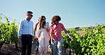 Vineyard, talking and people on farm for tourism, sustainable farming and agriculture with grape vines. Countryside, tour guide and men with women in nature for conversation, chat and wine production