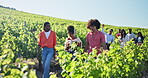 People outdoor, walk or conversation in vineyard for winery education, sustainable farm or growth. Countryside, tour guide or group in nature with grape vines for farming discussion, info or learning