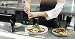 Hands, person and seasoning food in restaurant kitchen for meal preparation with cooking technique. Chef, culinary and sprinkle spice for cuisine flavor, garnish presentation and catering for dinner