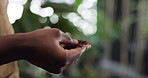 Florist, hands and soil inspection in store for plant growth, quality assurance and development. Sustainable small business, person and check fertilizer in nursery for ph balance, production or bokeh