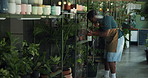 Botany, store and black man with water for plants with sustainability, natural or gardening. Quality assurance, ecology and African male botanist with inspection for greenery in garden center.