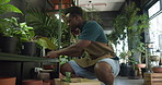 Botanist, man and plants in basket at store, shelf or packing for order at sustainable startup. Person, florist and entrepreneur with container, box or inventory management at eco friendly shop