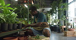 Botanist, man and plants on shelf at store, packing or stock on sale at sustainable startup. African person, florist and entrepreneur with container, box or inventory management at eco friendly shop