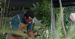 Man, florist and phone for plants at store, photo or app for care, growth or stock at startup. African person, smartphone and botanist for sustainability, leaves or research in nursery at flower shop
