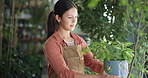Plant, nursery and woman with inventory for quality assurance, stock check or inspection. Sustainability, small business and greenhouse with florist, startup manager and commercial garden for retail