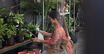 Gardening, water and woman with plants in nursery for growth, sustainability and healthy leaves. Florist, gardener and person with spray bottle for planting, maintenance and ecology in agro business