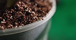 Plant, soil and pot with seeds for growth, agriculture and fertiliser for indoor gardening. Dirt, organic compost or container for horticulture nutrition, sustainable maintenance and botanical sprout
