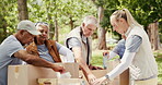 Volunteer, group and packing donations at park for food drive, charity event or community outreach. NGO project, senior teamwork or woman with parcel boxes in nature for nonprofit service or activism