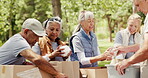 Volunteer, teamwork or packing boxes at park for food donation, charity event or community outreach. NGO project, senior group and woman with parcels in nature for activism, non profit and efficiency
